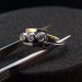 jewel_10_2.jpg